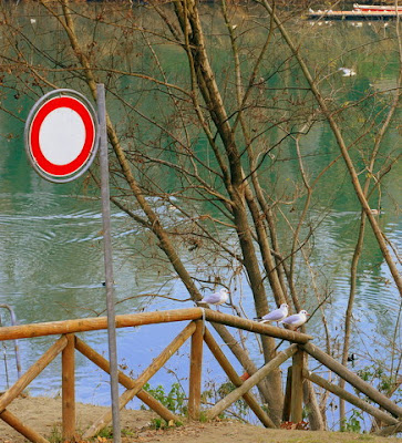 La schiera dei Vigilanti di lilly