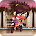 Ninja Girl