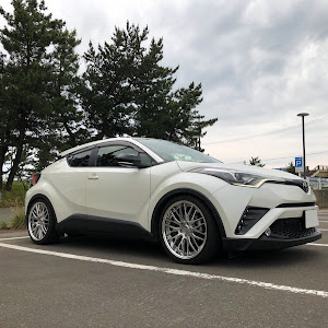 C-HR NGX50