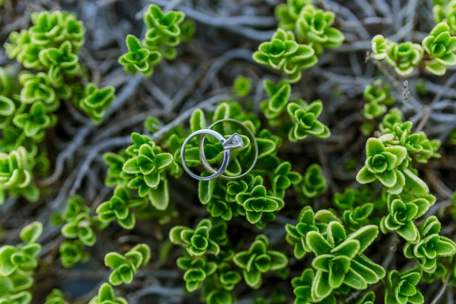 Wedding photographer Stanislav Nemashkalo (stanly). Photo of 21 July 2018