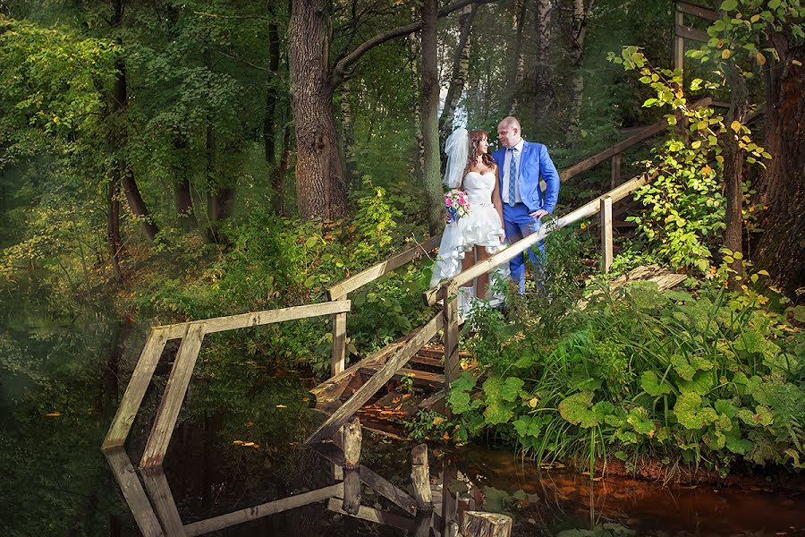 Fotografo di matrimoni Olga Lebed (wwwgirl). Foto del 15 febbraio 2016