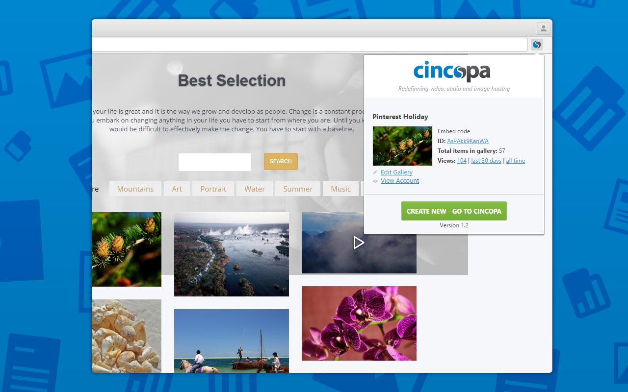 Cincopa App Preview image 3