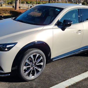 CX-3 DKLFW