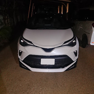 C-HR ZYX11