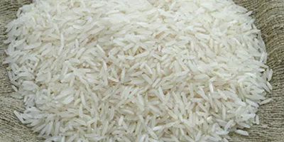 Basmati Rice Tulip - 5 kg