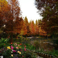 菁芳園 Tenway Garden／花園餐廳／落羽松