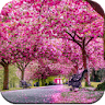 Beautiful Spring Wallpaper 4K icon