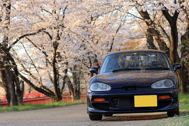 カプチーノのサクラと愛車・桜・ドライブ・写真が上手くなりたい・鯉のぼりと愛車に関するカスタム事例の投稿画像13枚目