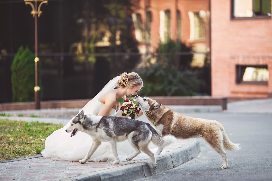 Fotógrafo de bodas Katarzyna Michałaki (savoyar). Foto del 17 de diciembre 2015