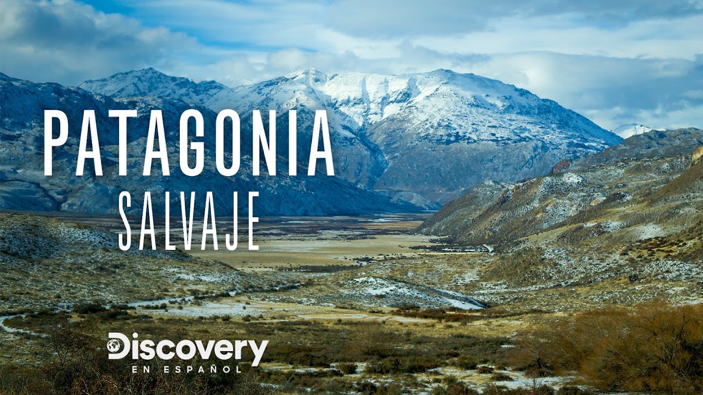 Watch Wild Patagonia live