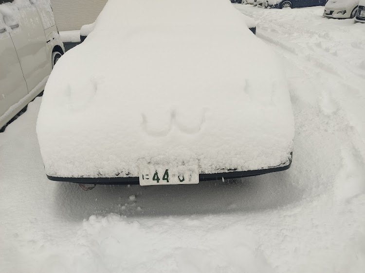フェアレディZの雪・チェーンに関するカスタム事例の投稿画像1枚目