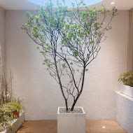 Blivin Bakery 植物系生吐司專門店