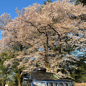 ランドクルーザープラド TRJ150W