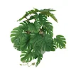 miniatures image - 2