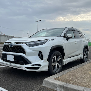 RAV4 AXAP54