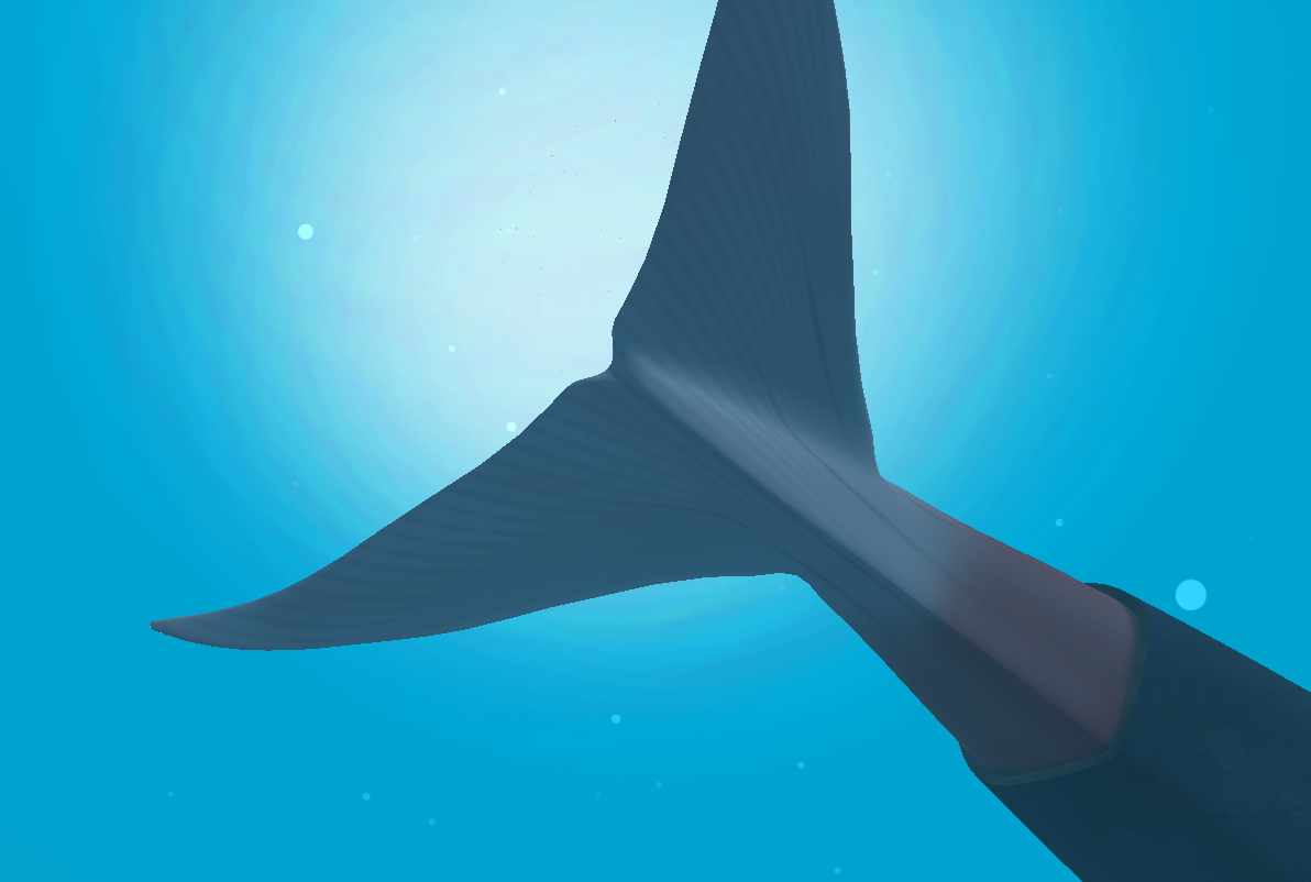   Blue whale VR- 스크린샷 