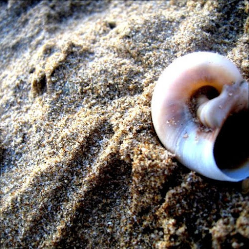 Come facevi quando eri dispersa? di Logorrea