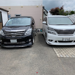 ヴェルファイア ANH25W