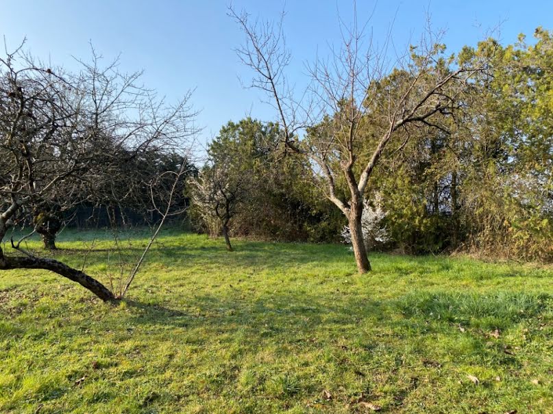 Vente maison neuve 3 pièces 80 m² à Montlouis-sur-Loire (37270), 259 000 €