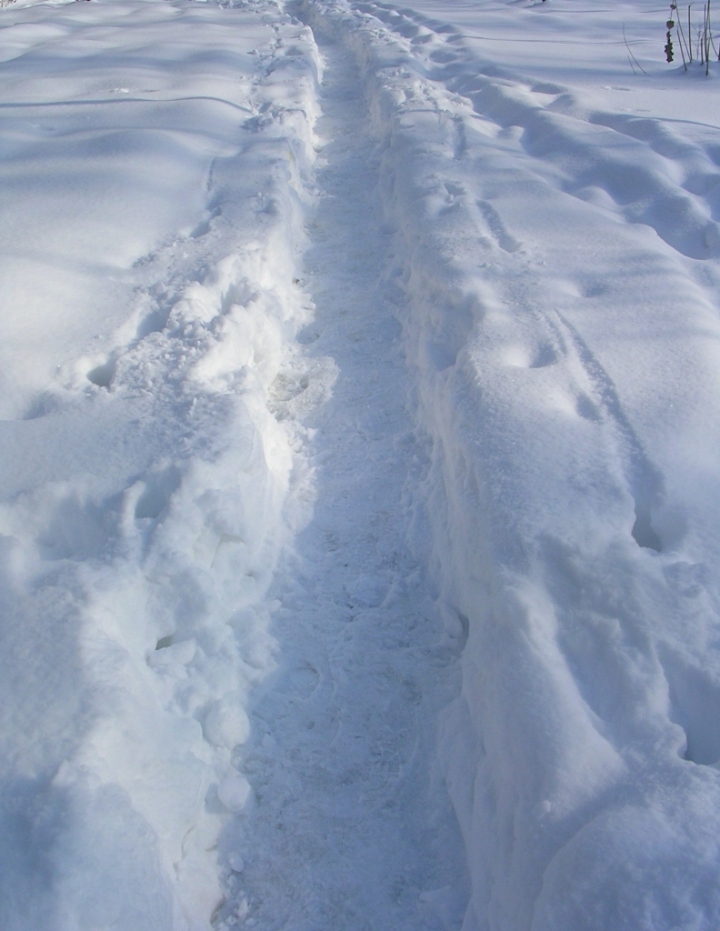 Il sentiero innevato di BananaJoe