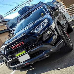 RAV4 MXAA54