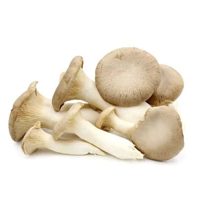 Trikaya Oyester Mushroom Mix Prepacked 100 Gm