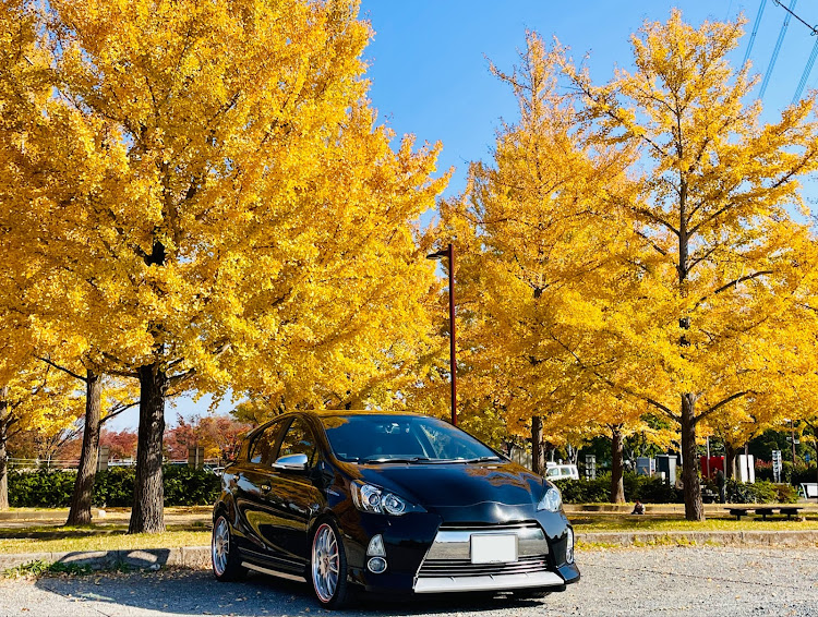 アクアの紅葉見に行こうよう・紅葉に抱かれて・朝活・久喜市 プラチナパスポート・中国四川料理 弘園に関するカスタム事例の投稿画像2枚目