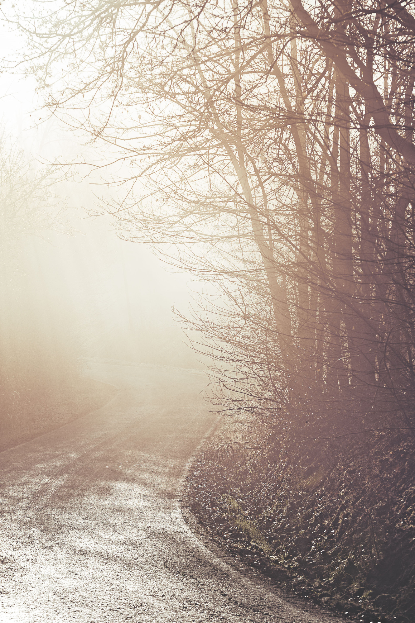 misty morning di fraiac