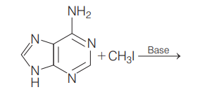 Chemical reactions of amines