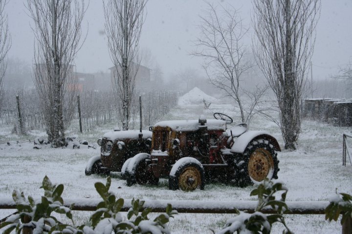 Nevicata improvvisa di gegge