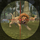 Download Hunting Jungle Wild Animals: Deadly Shooting For PC Windows and Mac 1.0