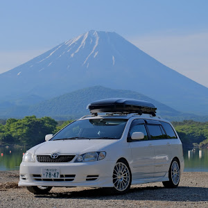 カローラフィールダー ZZE123G