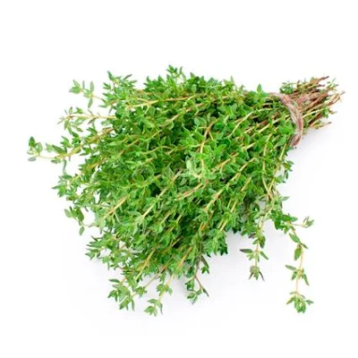 Thyme - Exotic - 100 gm