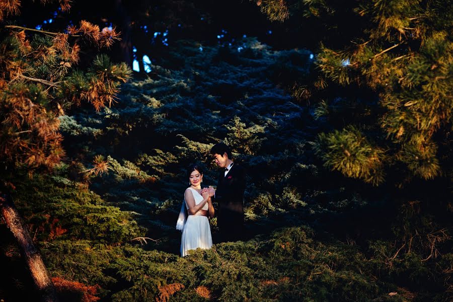 Fotógrafo de casamento Sergey Art (prahaart). Foto de 23 de novembro 2016