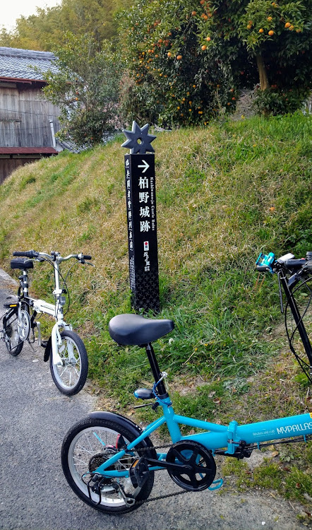 アクアのサイクリング・折りたたみ自転車に関するカスタム事例の投稿画像6枚目