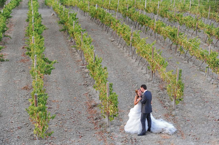 Photographe de mariage Paulo Lopes (paulolopes1). Photo du 4 juillet 2014