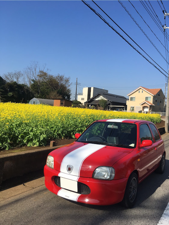 マーチの桜と愛車・桜・菜の花に関するカスタム事例の投稿画像4枚目