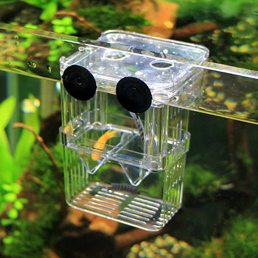 Suspended Multifunctional Guppy Breeding Box Fish Tank Acrylic Isolation Box Small Large Spawning Hatch Small Fry Fish D