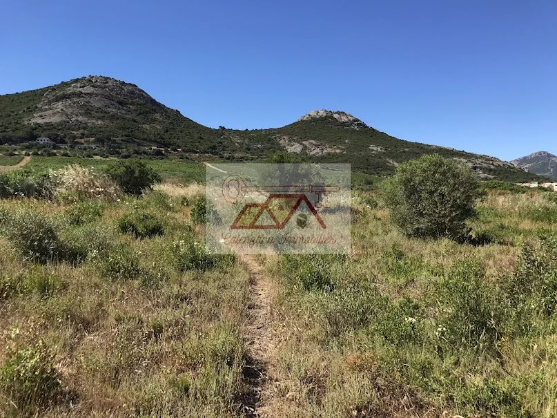 Vente terrain  5000 m² à Calvi (20260), 342 400 €