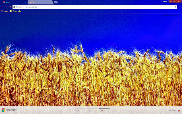 Blue Field Photography Wheat chrome extension