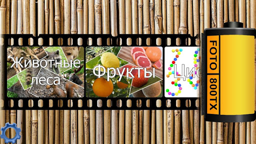 Учим животных, фрукты и цифры для малышей (FREE) - v1.8