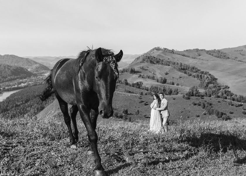 Весільний фотограф Татьяна Бережнова (berezhnova). Фотографія від 14 листопада 2019