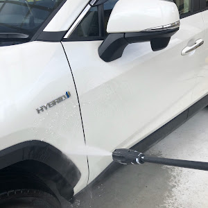 RAV4 AXAH54