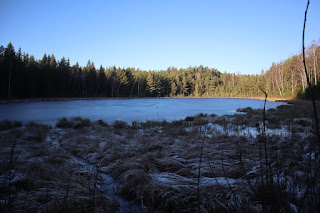 Väike Umbjärv