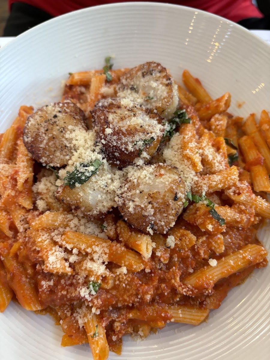 Scallops with vodka sauce over gf penne  (i said yes to the grated cheese! Which makes pic harder to see)