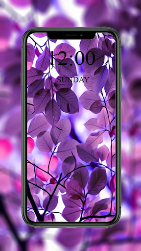 Screenshot Purple Wallpaper 2024