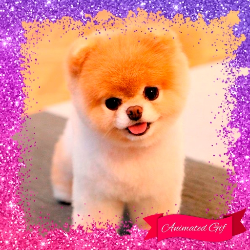 Puppy Dog Gif Photo Frames Google Play 應用程式