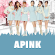 Download Best Songs Apink (No Permission Required) For PC Windows and Mac 1.0