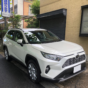 RAV4