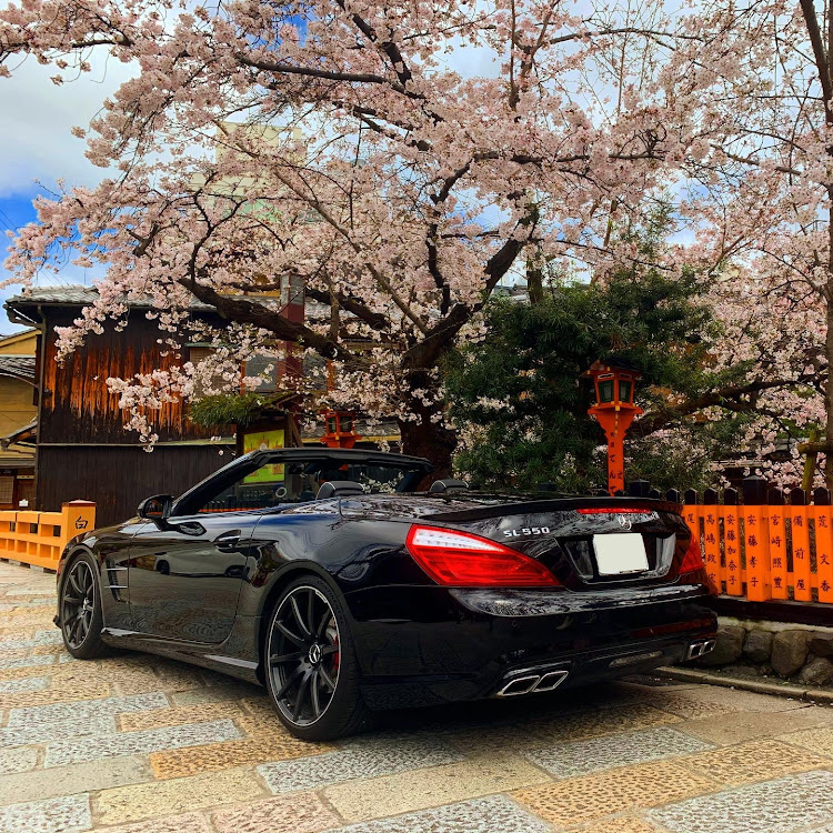 SLのメルセデスベンツ・R231・京都・桜・コラボに関するカスタム事例の投稿画像5枚目